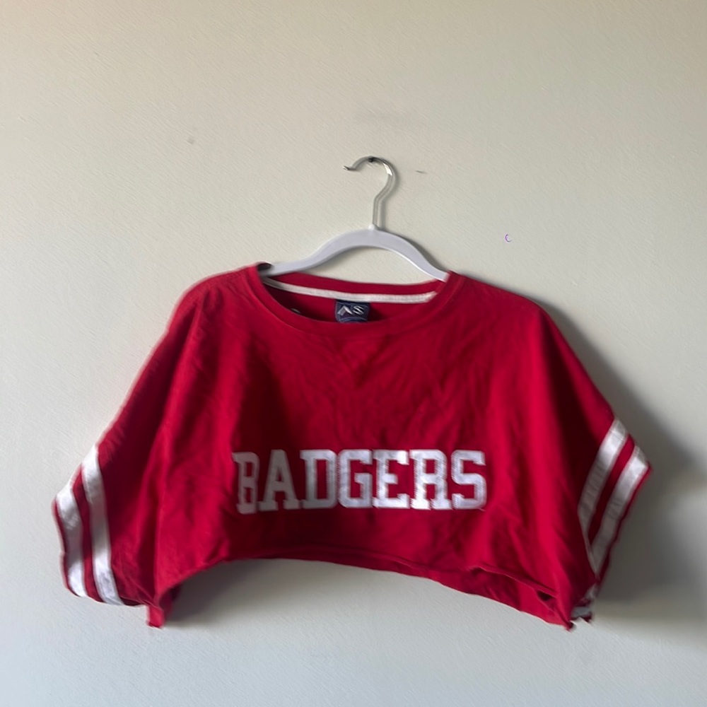 UW Madison vintage cropped shirt